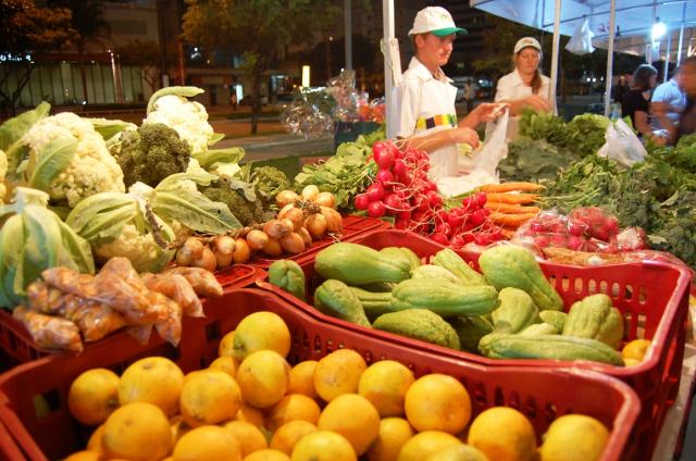 Audiência pública sobre produção orgânica no Estado