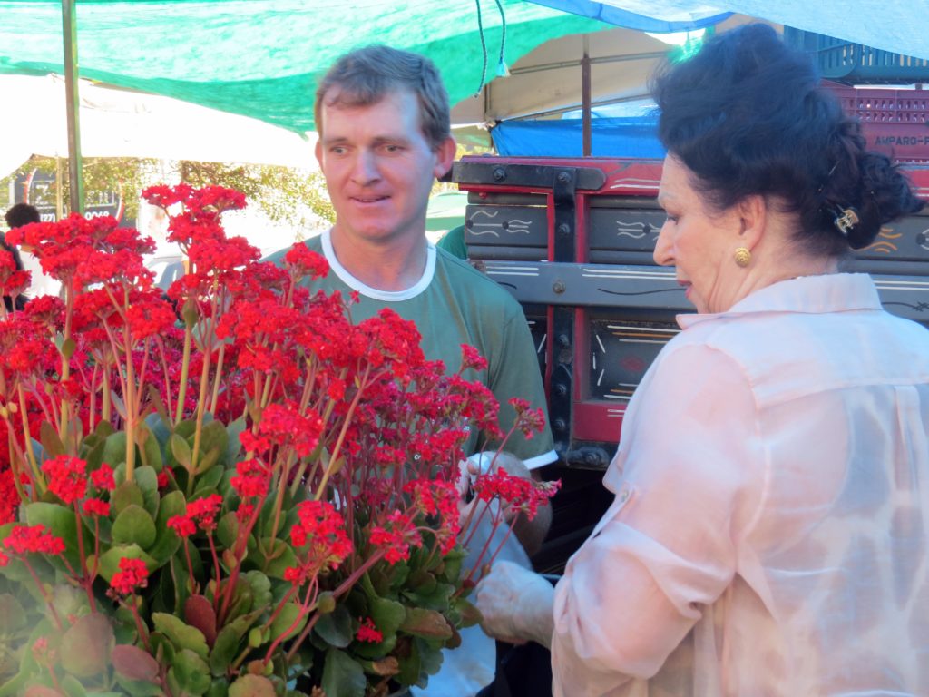 O pequeno agricultor de Santa Maria de Jetibá, Hilário Zagr atendendo uma consumidora em sua barraca. 