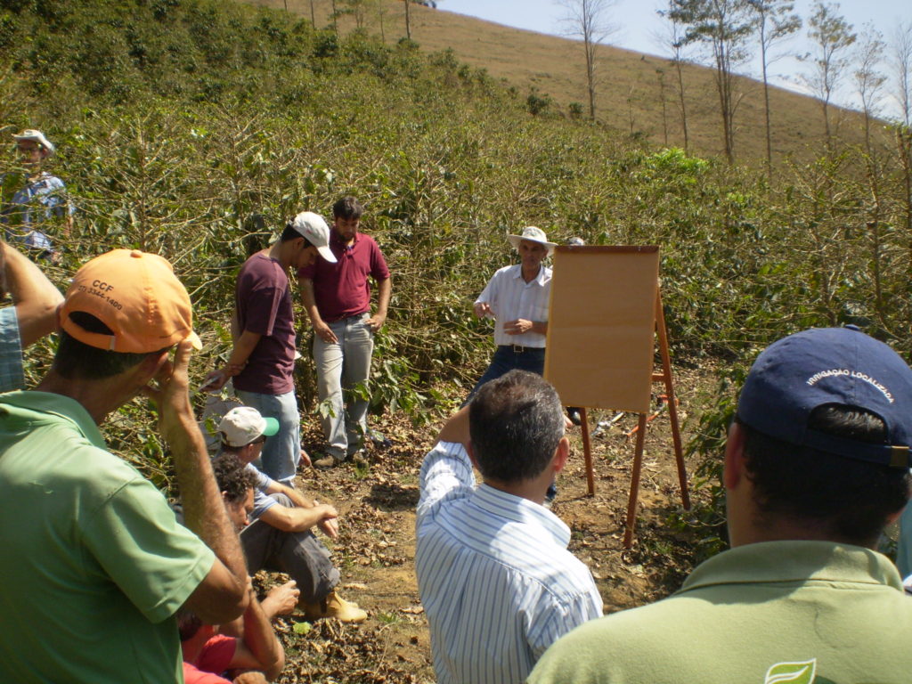 Agricultores em propriedade em Afonso Claudio 